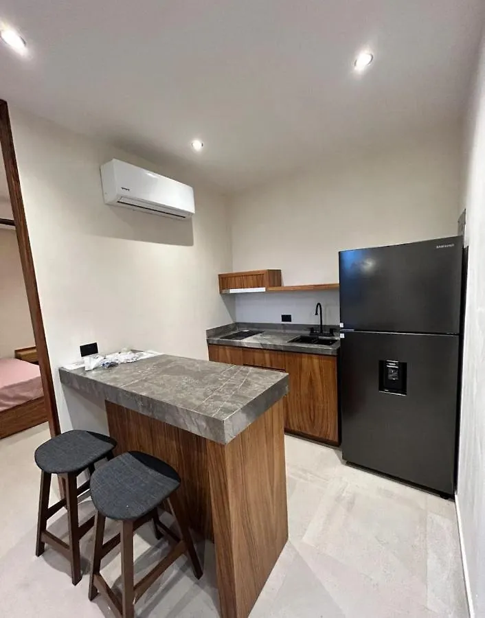 Depto#2 Lujoso Departamento En Tulum 1 Rec Apartment